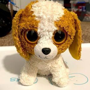 Color is tan brown, with a white body ,and snout, Black nose,